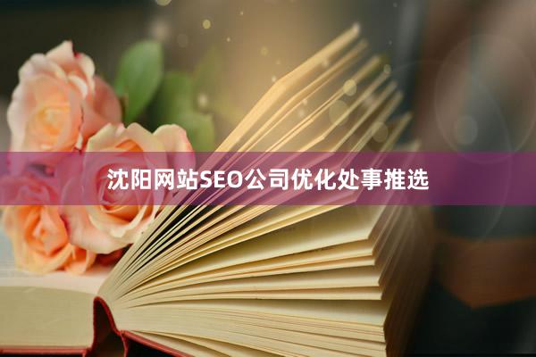沈阳网站SEO公司优化处事推选